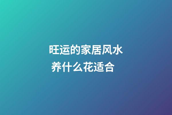 旺运的家居风水 养什么花适合